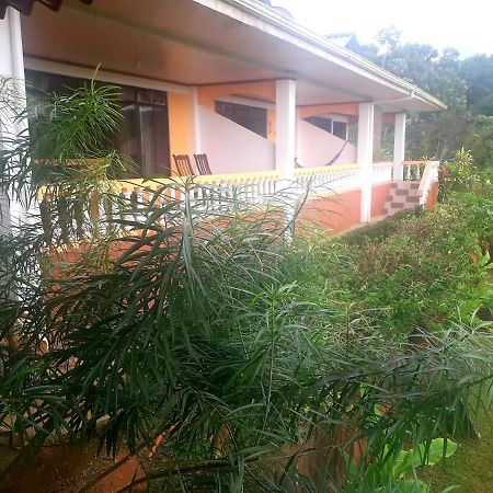 Cabinas Manolo Drake Bay, Ocean And Forest View Esterno foto
