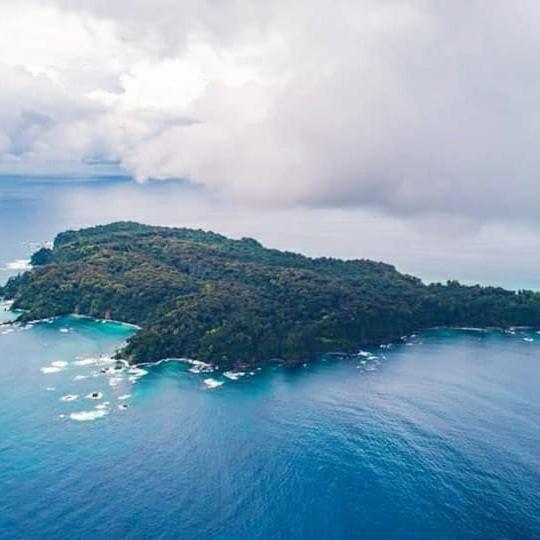 Cabinas Manolo Drake Bay, Ocean And Forest View Esterno foto
