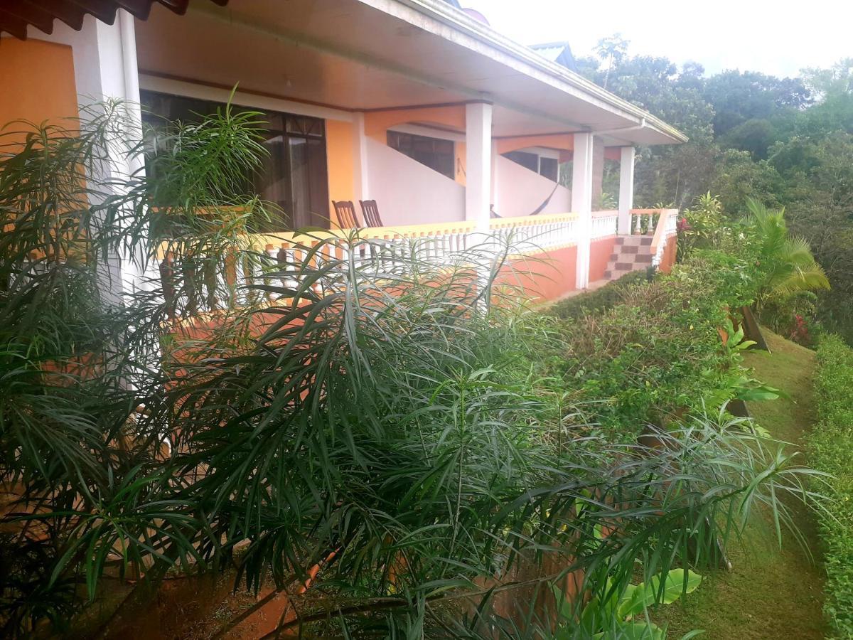 Cabinas Manolo Drake Bay, Ocean And Forest View Esterno foto